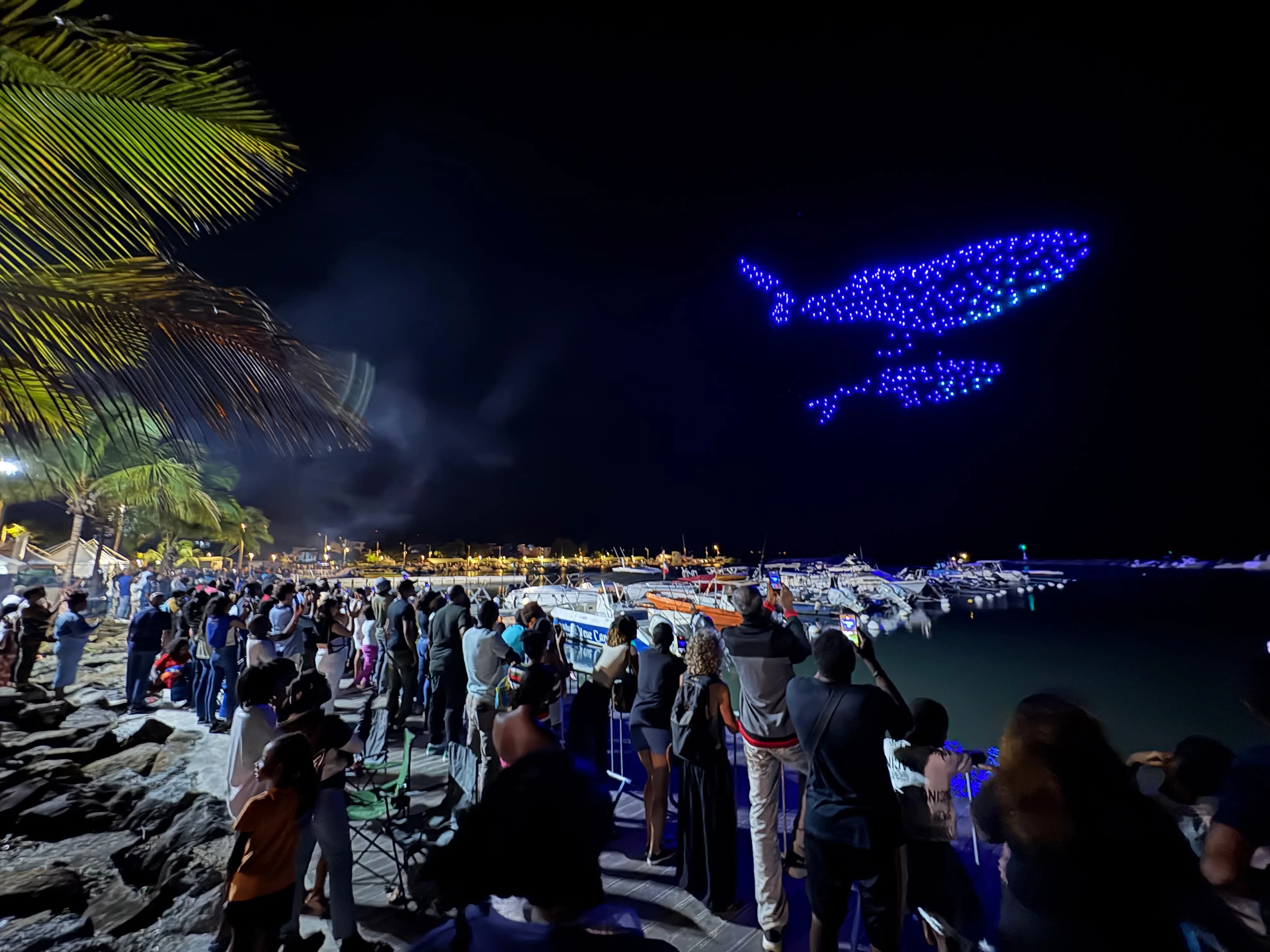 Drones Show Arwen
